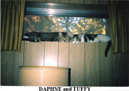 Tuffy and Daphne D'Amico